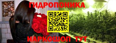 сатива Ипатово
