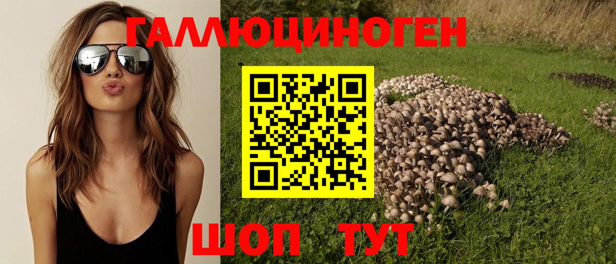 Галлюциногенные грибы прущие грибы Междуреченск