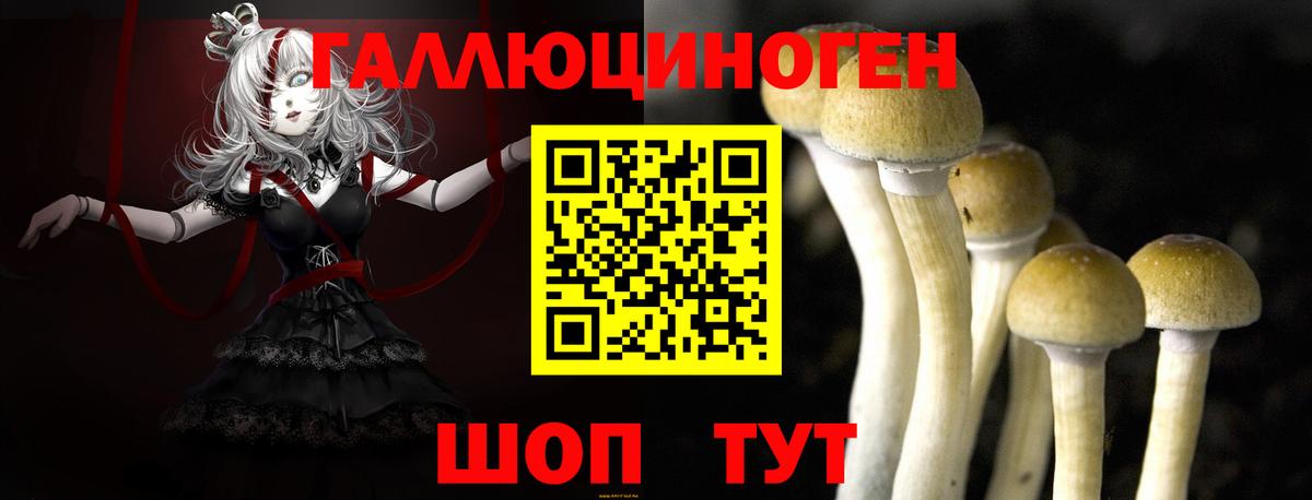 Междуреченск  Псилоцибиновые грибы мицелий  Псилоцибиновые грибы Psilocybine cubensis  Вход с VPN 